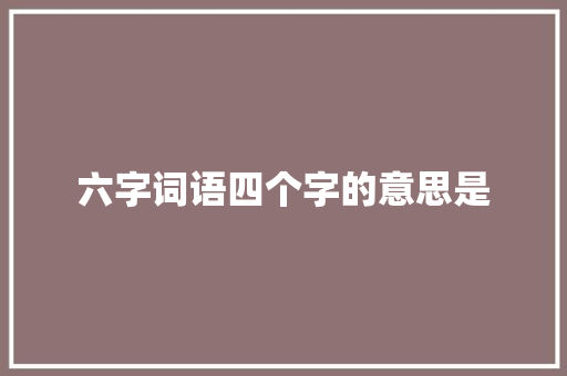 六字词语四个字的意思是