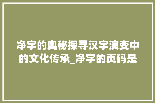净字的奥秘探寻汉字演变中的文化传承_净字的页码是什么意思啊