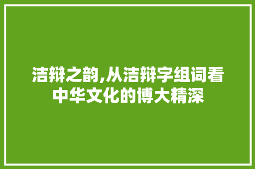 洁辩之韵,从洁辩字组词看中华文化的博大精深 商业文案