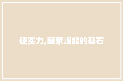 硬实力,国家崛起的基石 简历模板