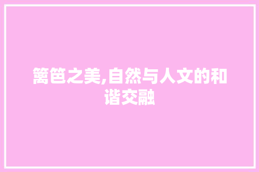篱笆之美,自然与人文的和谐交融