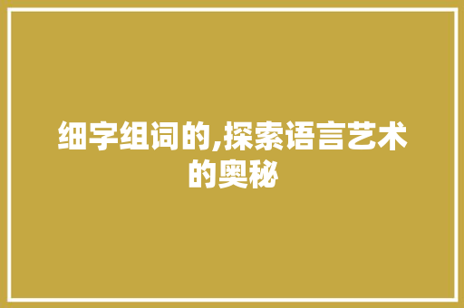 细字组词的,探索语言艺术的奥秘 写作技巧