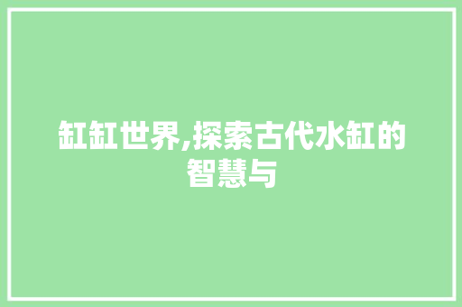 缸缸世界,探索古代水缸的智慧与