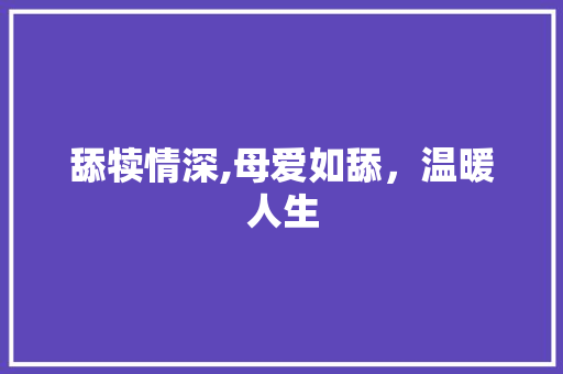 舔犊情深,母爱如舔，温暖人生 商业文案