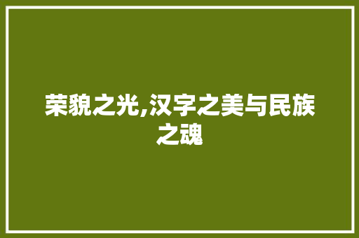 荣貌之光,汉字之美与民族之魂