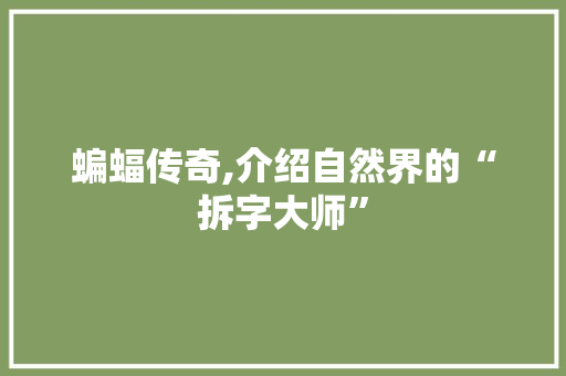 蝙蝠传奇,介绍自然界的“拆字大师” 诗歌创作