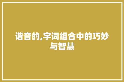 谐音的,字词组合中的巧妙与智慧 范文赏析