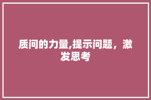 质问的力量,提示问题，激发思考