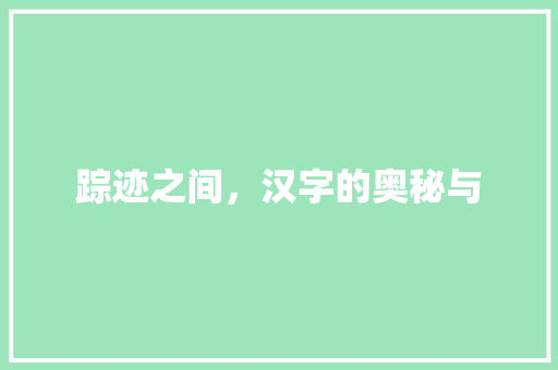 踪迹之间，汉字的奥秘与