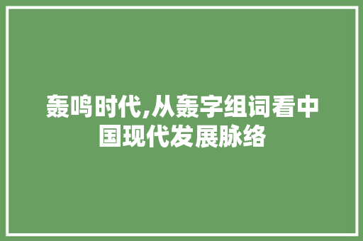 轰鸣时代,从轰字组词看中国现代发展脉络 范文赏析