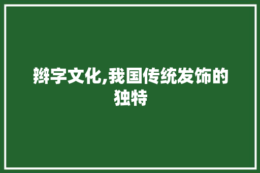 辫字文化,我国传统发饰的独特