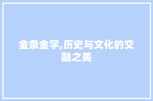 金条金字,历史与文化的交融之美 商业文案