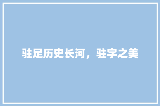 驻足历史长河，驻字之美