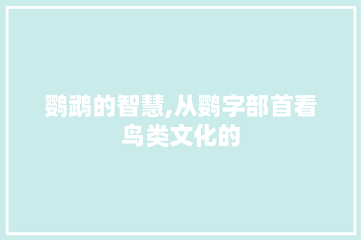 鹦鹉的智慧,从鹦字部首看鸟类文化的