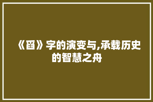 《舀》字的演变与,承载历史的智慧之舟 写作技巧