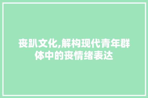 丧趴文化,解构现代青年群体中的丧情绪表达 报告写作