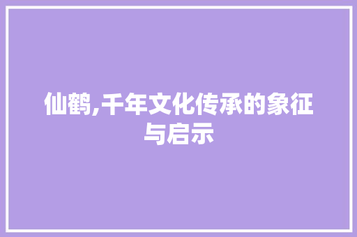 仙鹤,千年文化传承的象征与启示 报告写作