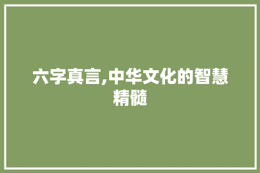 六字真言,中华文化的智慧精髓
