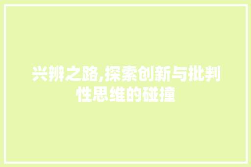 兴辨之路,探索创新与批判性思维的碰撞