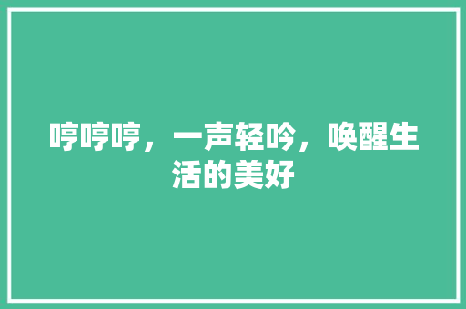 哼哼哼，一声轻吟，唤醒生活的美好