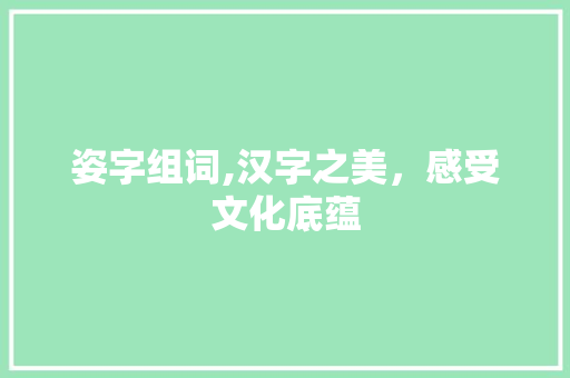 姿字组词,汉字之美，感受文化底蕴