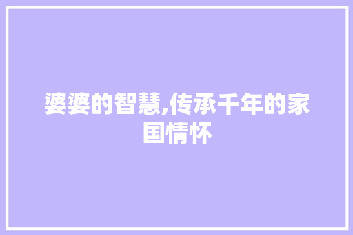 婆婆的智慧,传承千年的家国情怀