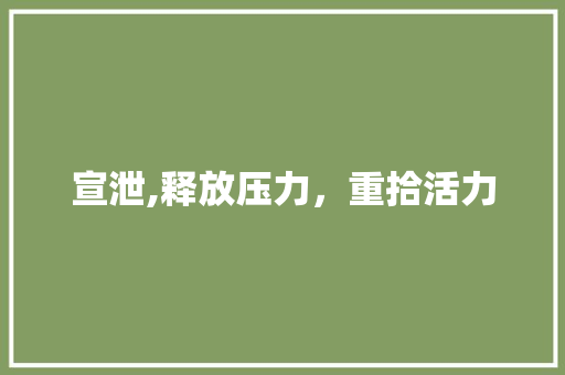宣泄,释放压力，重拾活力