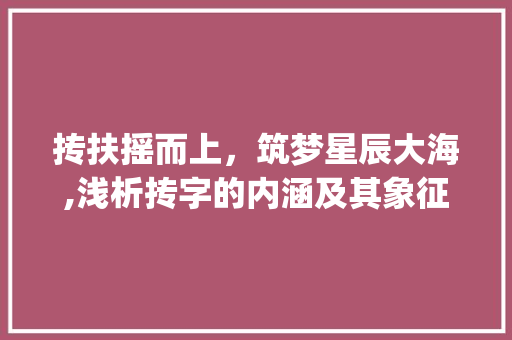 抟扶摇而上，筑梦星辰大海,浅析抟字的内涵及其象征意义_抟字的读音是什么意思