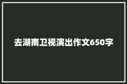 去湖南卫视演出作文650字 简历模板