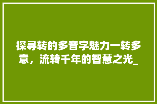 探寻转的多音字魅力一转多意，流转千年的智慧之光_转的多音字是什么意思