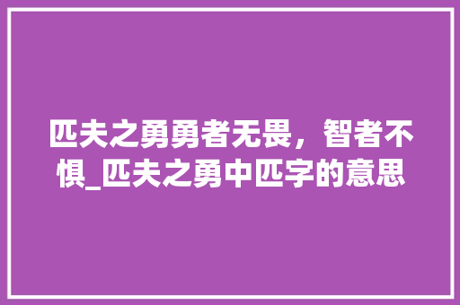 匹夫之勇勇者无畏，智者不惧_匹夫之勇中匹字的意思