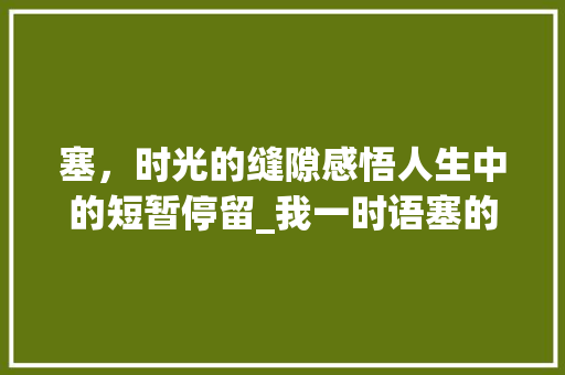 塞，时光的缝隙感悟人生中的短暂停留_我一时语塞的塞字的意思