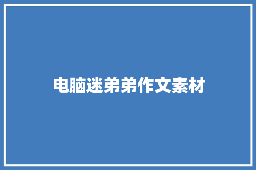 电脑迷弟弟作文素材 写作技巧