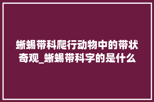 蜥蜴带科爬行动物中的带状奇观_蜥蜴带科字的是什么意思