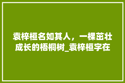 袁梓桓名如其人，一棵茁壮成长的梧桐树_袁梓桓字在名字里的意思