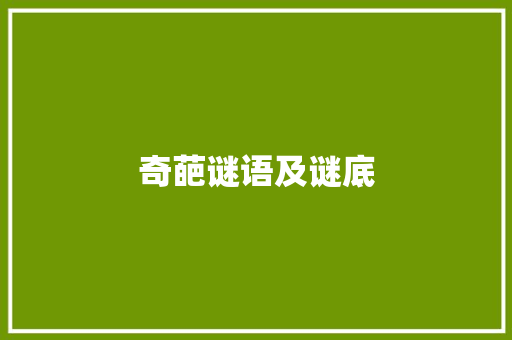 奇葩谜语及谜底 写作素材