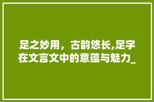 足之妙用，古韵悠长,足字在文言文中的意蕴与魅力_文言文中足字的翻译意思