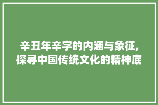 辛丑年辛字的内涵与象征,探寻中国传统文化的精神底蕴_辛丑年的辛字是什么意思