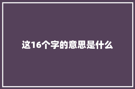 这16个字的意思是什么