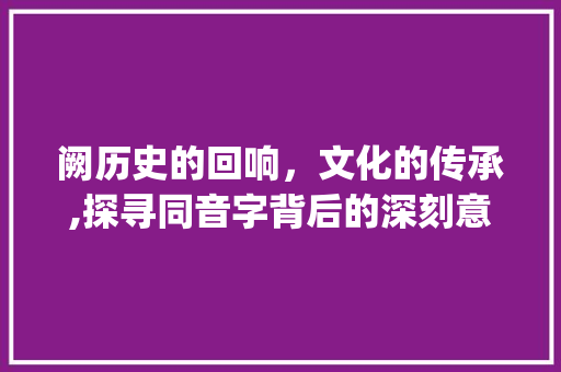 阙历史的回响，文化的传承,探寻同音字背后的深刻意蕴_阙的同音字是什么意思