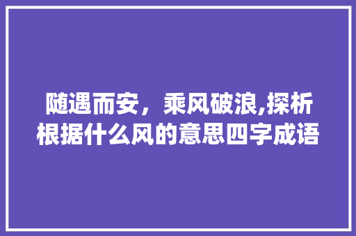 随遇而安，乘风破浪,探析根据什么风的意思四字成语的内涵与启示_什么风的意思四字成语