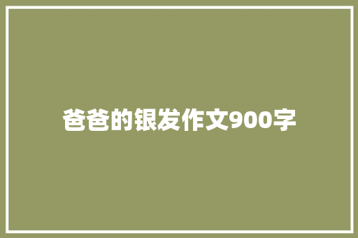 爸爸的银发作文900字