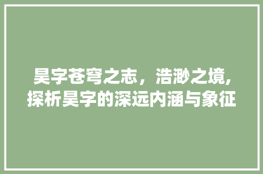昊字苍穹之志，浩渺之境,探析昊字的深远内涵与象征意义_昊字的含义及意思是什么