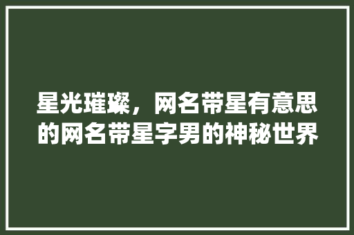 星光璀璨，网名带星有意思的网名带星字男的神秘世界_有意思的网名带星字男的