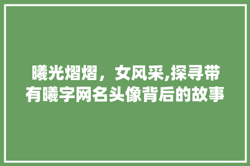 曦光熠熠，女风采,探寻带有曦字网名头像背后的故事_网名头像带曦字女的意思