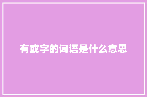 有或字的词语是什么意思