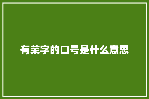 有荣字的口号是什么意思