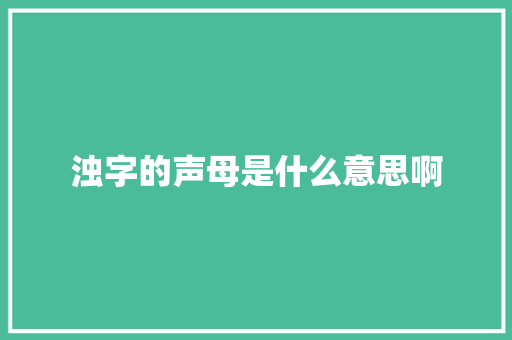 浊字的声母是什么意思啊
