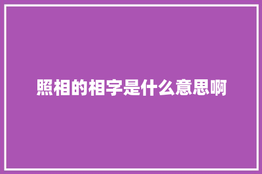 照相的相字是什么意思啊 报告写作