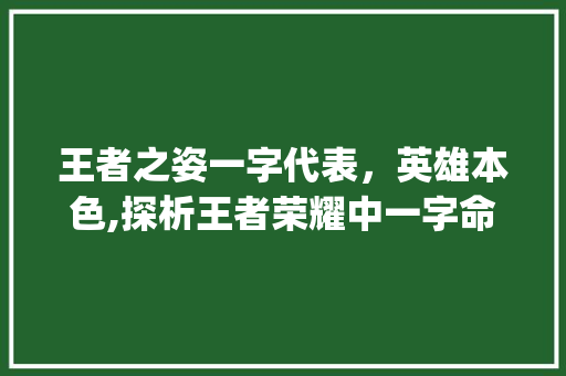 王者之姿一字代表，英雄本色,探析王者荣耀中一字命名英雄的独特魅力_王者代表一字意思的英雄